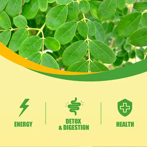 Thé en sachet de feuilles de Moringa pour la détoxification et le soutien immunitaire, OEM/ODM, fournit un regain d'énergie, stimule le métabolisme, aide à la perte de poids, thé détoxifiant amincissant - Product Image 3