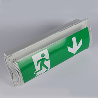 Offre Spéciale BAIYI Lumière de secours de haute qualité Protection professionnelle de classe 1 Cloison de secours Led Lumière de sortie d'urgence