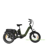 Triciclo eléctrico Oem personalizable con Motor Central de 500W, triciclo de carga con neumáticos gruesos, bicicleta eléctrica de 3 ruedas barata para adultos