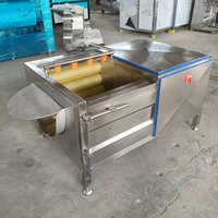 Industriële borstelrolwasmachine voor fruit- en groenteverwerkingslijn, multifunctioneel SCHILLEN