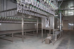 Grillete de Acero Inoxidable para Sacrificio de Aves - Product Image 6