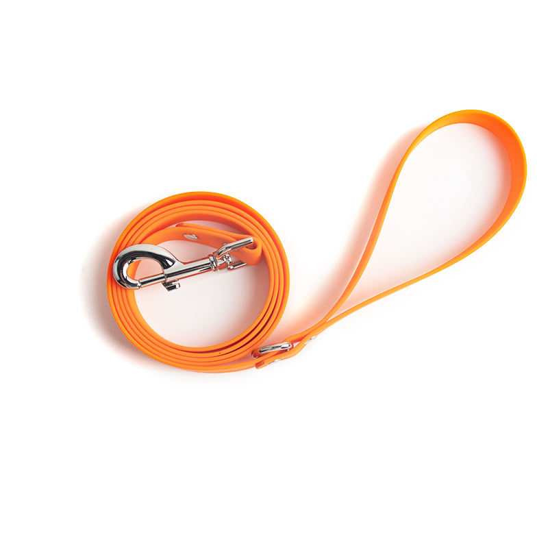 สายจูงสีส้ม