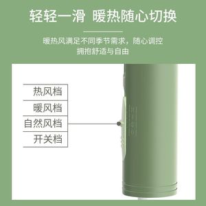 Royalstar Hair Dryer 220V AC Motor Ionic Foldable Compact Travel Portable Quiet High Power Household Use - Product Image 5