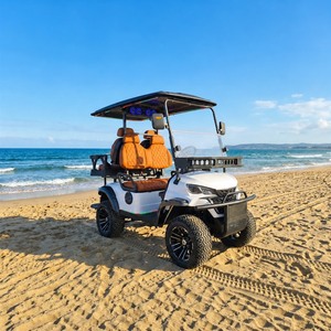 Voiturette de <span class=keywords><strong>golf</strong></span> électrique pour promenade en bord de rivière, 2, 4 ou 6 places, moteur AC 36V 3.5KW, batterie au lithium, pour balades au coucher <span class=keywords><strong>du</strong></span> soleil, homologuée DOT - Product Image 5