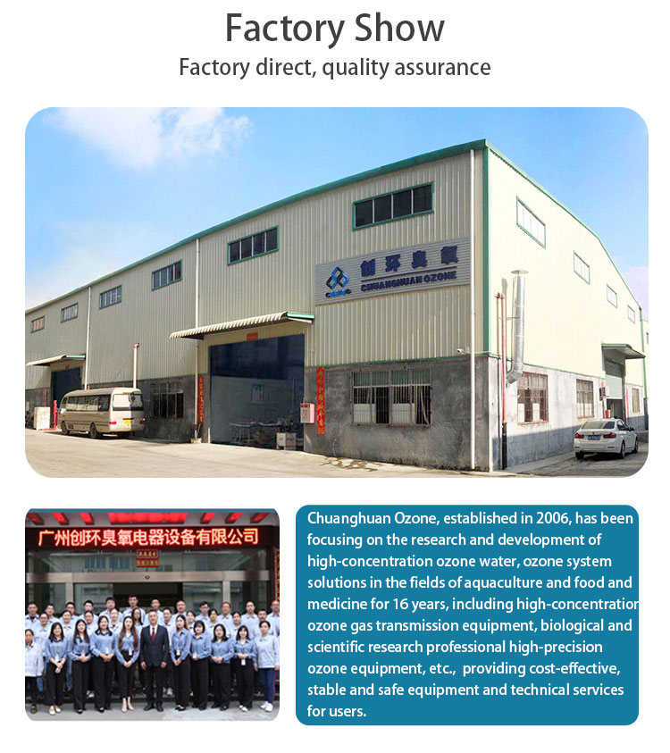औद्योगिक सीवेज जल कीटाणुशोधन उपचार के लिए बड़े पैमाने पर 500 ग्राम पेशेवर ओजोन जनरेटर 10