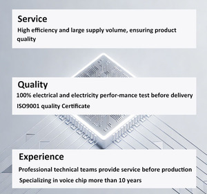 Programmable Sound Chip NVF04M Series Voice Playback Chip OEM Factory Multimedia and Audio Chip for Smart Home - Product Image 3