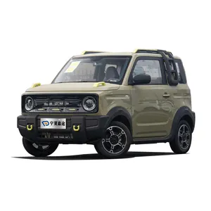 Hot Sale Cheap Car Geely Panda Mini Best Small Car 2023 Electric 4 Seats Small Cheap Car New Energy Vehicle