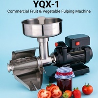 Top gewaardeerde automatische mini elektrische fruitpers met motor van roestvrij staal voor het maken van tomatenpuree voor ontbijt & bakken