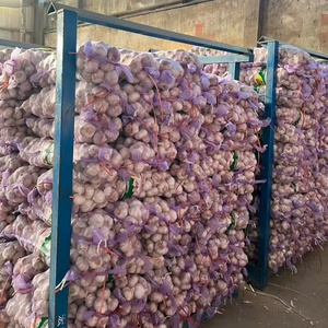 Ajo Blanco Fresco de China, de Dientes Pequeños, Precio al por Mayor, Venta Directa de Fábrica de Shandong, Calidad Superior, Cosecha Reciente, Alho Ajo - Product Image 2