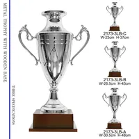 Coupe de trophée personnalisée, récompense en argent, médailles de luxe, fabrication de trophées et de médailles, Trofeos Personalizados
