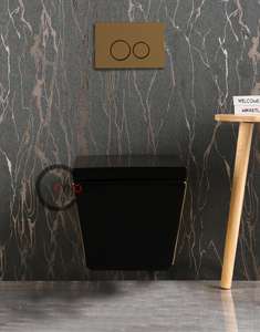 Inodoro de pared sin marco con tapa de asiento de cierre suave Platinum, tanque oculto, inodoro de cerámica para baño - Product Image 3