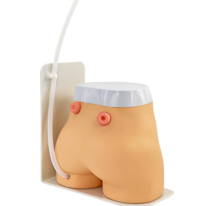 Cao cấp <span class=keywords><strong>ostomy</strong></span> & fistula điều dưỡng manikin-Mô hình giảng dạy y tế chuyên nghiệp cho đào tạo kỹ năng - Product Image 3
