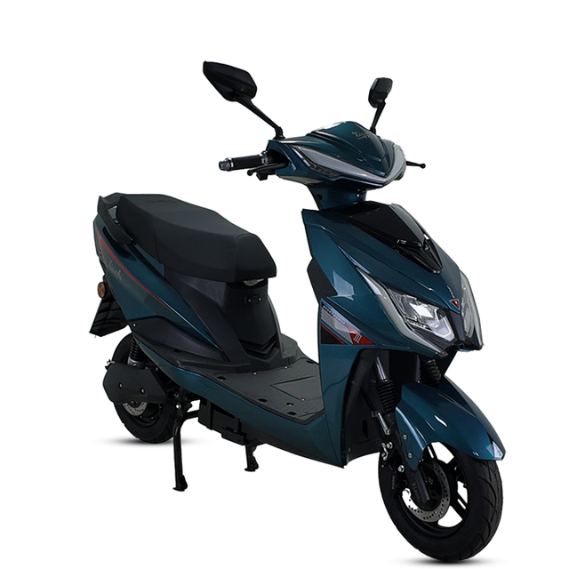 ZL3 Brand New and High Quality Factory Direct Sales 1000W 45km/h Electric Bicycle Electric Motorcycle