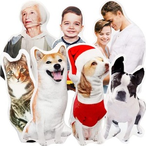 Oreillers personnalisés confortables pour animaux de compagnie pour dormir Double face doux 3D corps <span class=keywords><strong>visage</strong></span> coussins divers dessins animés animaux plantes - Product Image 1