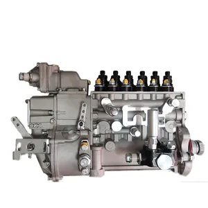 Sortie d'usine de haute qualité Diesel pompe d'injection de carburant moteur de camion Weichai WP10.300NE31 6P1220 BP2074 1001130533 612601080378