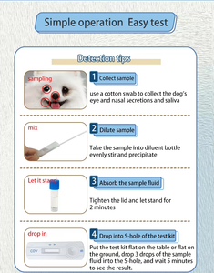 कैनाइन परवो वायरस एंटीजन रैपिड टेस्ट किट cpv कुत्तों के लिए तेजी से स्ट्रेप टेस्ट - Product Image 3