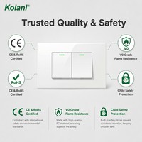 Indikator LED Hijau Kolani, Saklar Lampu Dinding 2 Gang Tahan Lama, Modul Ganda 120, Pemasangan Tersembunyi, 16A 250V IP20, Panel PC Putih Mengkilap