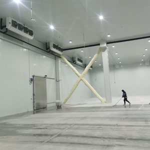 Grande chambre froide de plain-pied pour le stockage de poulet congelé, pour projets de congélation et de refroidissement - Product Image 3