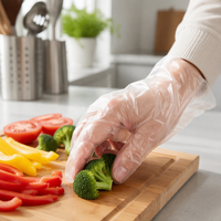 Gants jetables en plastique PE transparents personnalisés de qualité alimentaire pour la cuisine, la restauration, le nettoyage et l'industrie