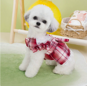 Vestido de Primavera para Perros Pequeños, Estilo Osito de Peluche, a Cuadros, de Poliéster, con Botones de Tracción, Modelo C056 - Product Image 4