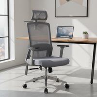 Chaise de bureau ergonomique moderne pivotante en maille avec support lombaire réglable, chaise de luxe grande taille, ensemble de mobilier en nylon