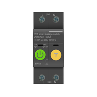 Compteur d'énergie intelligent WIFI monophasé TUYA 2P avec surveillance de la consommation Kwh, disjoncteur, minuterie, relais et protection contre les fuites