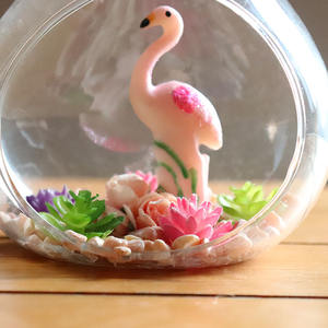 <span class=keywords><strong>Terrarium</strong></span> de verre transparent soufflé à la main, Vase de planteur en verre soufflé, pour décoration de maison - Product Image 6