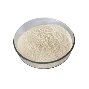 OEM Nattokinase 4000 FU Serrapeptase 120000 SPU Lumbrokinase Supplément enzymatique avec bromélaïne Papaïne Papaye Enzymes - Product Image 3