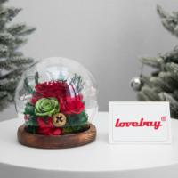 Lovebay Nouveau Design Bonhomme de Neige en Verre Éternel Fleurs Stabilisées Roses dans un Verre avec Lumière pour Cadeaux de Noël