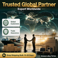 Offre Spéciale : Otoscope Numérique Mini HD 3,9 mm, Endoscope Auriculaire Vidéo LCD 4,5 pouces, Microscope Numérique, Cure-oreille Visuel