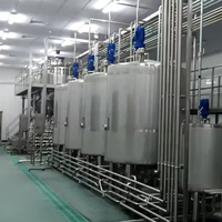 Productielijn voor ananas- en groentefruit sap met mixer en pasteurisator, hoge efficiëntie