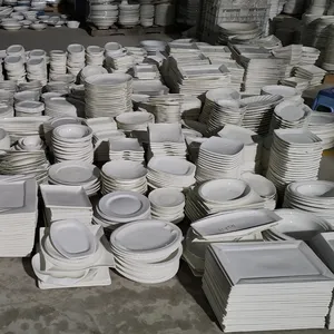 Factory Direct A Grade White Porcelain Affordable Prices Customize with 15-20 models from catalog by your needs sold by the ton