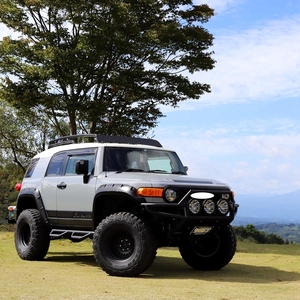 TS-FJ-116High质量挡泥板票价汽车FJ巡洋舰挡泥板喇叭口汽车挡泥板FJ巡洋舰 - Product Image 6
