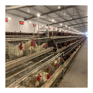 Gabbie per galline, - Product Image 5