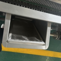 RVS luchtbellenwasmachine voor voedselverwerking, groente- en fruitreiniging