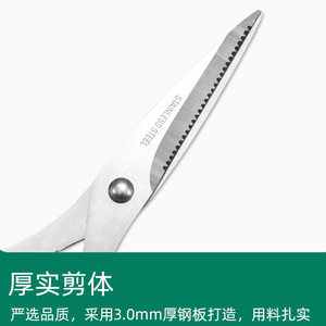 Multi Functional Kitchen <b>Scissors</b> 185mm Stainless Steel Sharp Durable For Cutting Chicken Fish Vegetables - Product Image 3