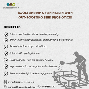 Suplemento Probiótico para Alimentación Animal, Mejora la Eficiencia Digestiva en Acuicultura - Product Image 1