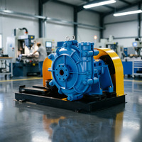 Pompe centrifuge robuste pour boues 80 x 125 mm pour le lavage du sable de silice et la récupération d'agrégats