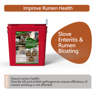 Regulador Rumenstar Contém Extrato de Ervas Microencapsulado, Extrato de Levedura e Probióticos para Promover o Crescimento de Gado Ruminante e Ovelhas - Product Image 5