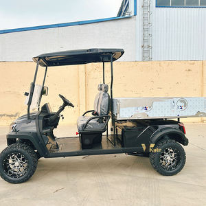 Voitures électriques vintage classiques pour le tourisme, les meilleures voitures de golf électriques - Product Image 2