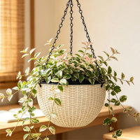 Grand panier suspendu traditionnel à double pot pour bonsaï, pots de fleurs auto-arrosants avec trou de drainage, pour intérieur et extérieur, en plastique, pour la maison et le jardin, 2,56 L
