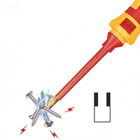 Jeu de tournevis isolés 13-en-1 personnalisable OEM, garantie 1 an, acier chrome-vanadium, piles incluses, outil domestique