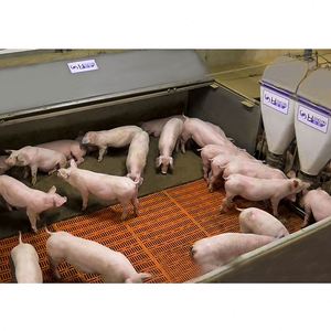 Equipo de granja de cerdos galvanizado por inmersión en caliente para lechones Jaula de guardería - Product Image 2