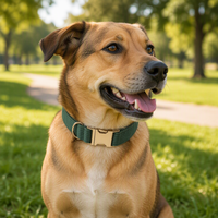 Ensemble collier et laisse pour chien en velours côtelé avec support AirTag, collier réglable pour chien, ensemble de promenade pour toutes les races de chiens, logo personnalisé disponible