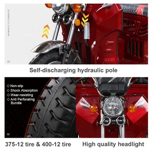 ผู้ใหญ่ Cargo 125cc สามล้อ<span class=keywords><strong>รถ</strong></span>จักรยานยนต์<span class=keywords><strong>3</strong></span><span class=keywords><strong>ล้อ</strong></span>ยานพาหนะที่มีการแข่งขัน<span class=keywords><strong>ราคา</strong></span> - Product Image 6