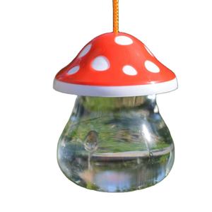 Betta Cup Jellyfish Cup Betta Fish Tank Mini pequeño plástico transparente con seta Cup Fish Tank - Product Image 1