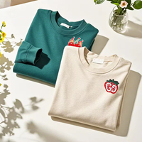 Sweat-shirts à capuche demi-zippés personnalisés ODM Spring Heavyweight 300g unisexe, logo brodé, impression en relief, effet délavé, 100% coton