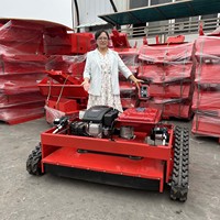 Mesin Pemotong Rumput Mini Bertenaga Tinggi Tanpa Kabel, Self-Propelled, DIY, Kelas Industri, 4-Tak, Kontrol Jarak Jauh