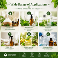 Huile Essentielle de Menthe Poivrée de Qualité Alimentaire Chinoise 100% Pure et Biologique pour Diffuseur Sans Eau, Extrait de Feuille de Menthe Piperita en Vrac