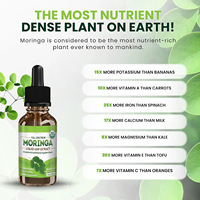 La gota de Moringa orgánica Tianyuan es un potenciador inmunológico antioxidante eficaz para mejorar la energía y el metabolismo del extracto de hoja de Moringa
